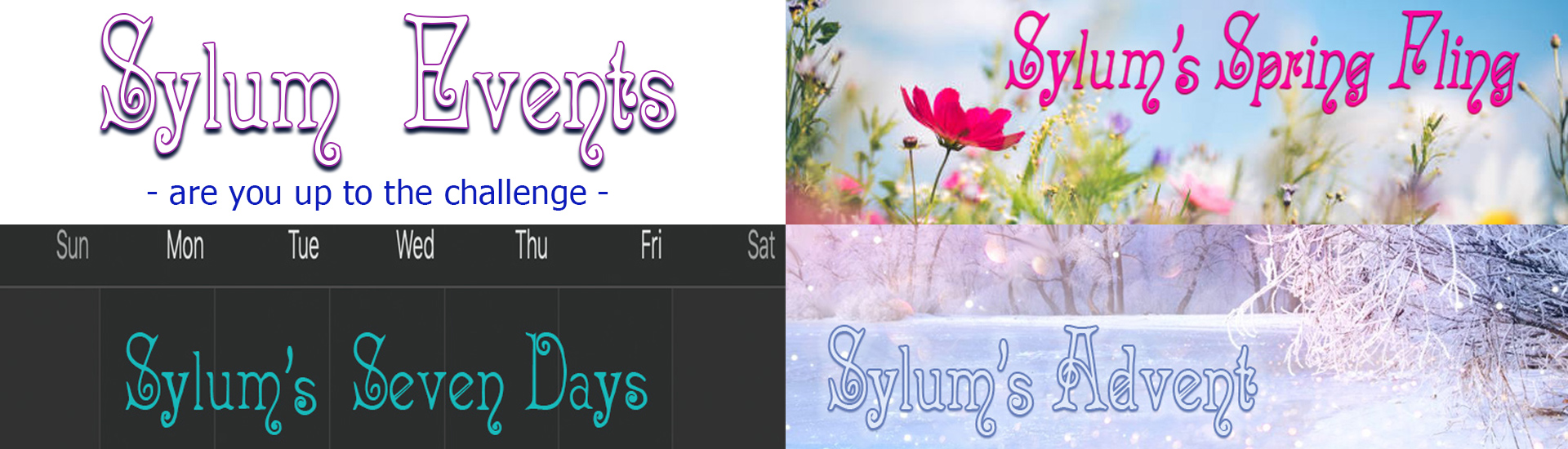 Sylum Update: Blogs & Things